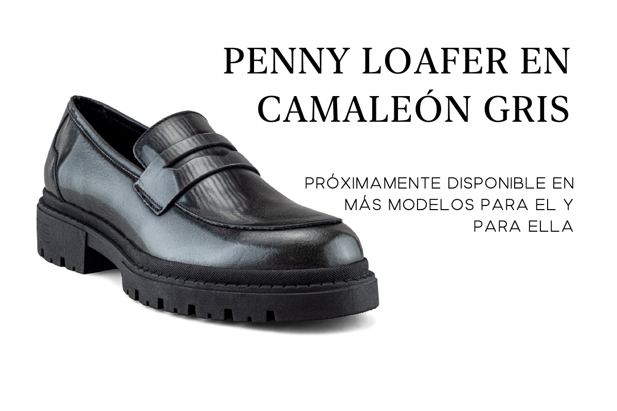 https://dasalo.com.mx/producto/mocasin-en-piel-vacuno-camaleon-gris-chunky-para-hombre/