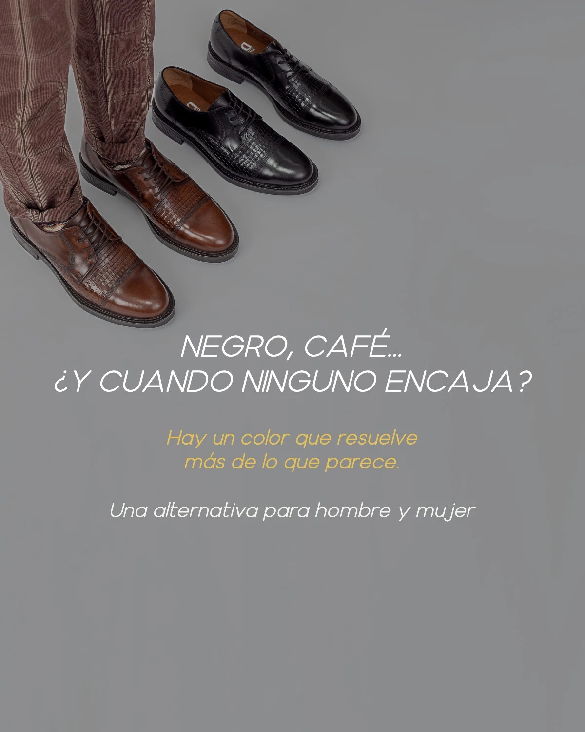Zapatos negros y cafés acompañados del mensaje sobre una alternativa en color vino para hombre y mujer.
